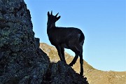 Bellissimo ritorno sul Pizzo Tre Signori (2554 m) da Ornica nella splendida giornata del 27 settembre 2018